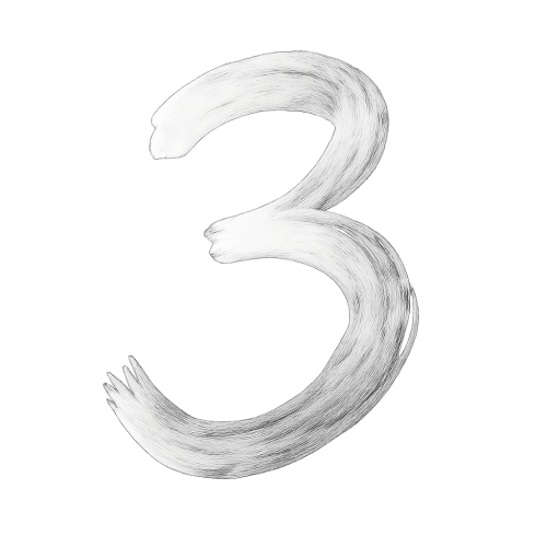 lebenszahl-3-bedeutung-numerologie